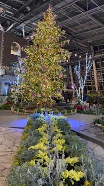 安城産業文化公園デンパークに投稿された画像（2022/12/27）