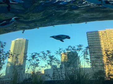 サンシャイン水族館に投稿された画像（2022/12/27）