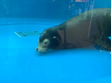 サンシャイン水族館に投稿された画像（2022/12/27）