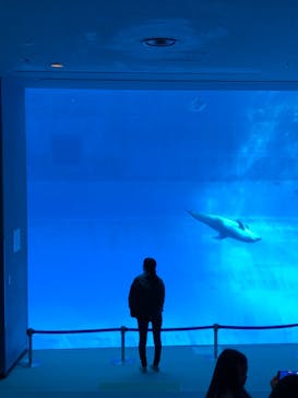 名古屋港水族館に投稿された画像（2022/12/27）