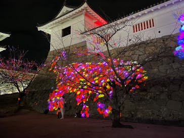 福山城400年博-FUKUYAMA CASTLE EXPO 2022- RCC開局70年 「チームラボ 福山城 光の祭」に投稿された画像（2022/12/27）