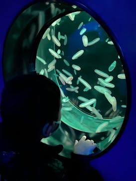 アクアワールド茨城県大洗水族館に投稿された画像（2022/12/27）
