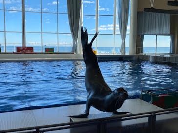 アクアワールド茨城県大洗水族館に投稿された画像（2022/12/27）