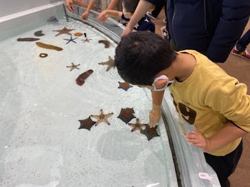 アクアワールド茨城県大洗水族館に投稿された画像（2022/12/27）