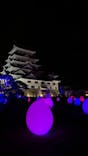 福山城400年博-FUKUYAMA CASTLE EXPO 2022- RCC開局70年 「チームラボ 福山城 光の祭」に投稿された画像（2022/12/27）