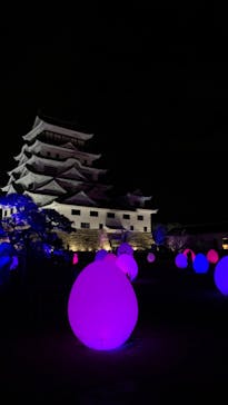 福山城400年博-FUKUYAMA CASTLE EXPO 2022- RCC開局70年 「チームラボ 福山城 光の祭」に投稿された画像（2022/12/27）