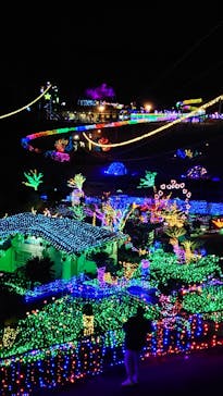 伊豆ぐらんぱる公園に投稿された画像（2022/12/27）