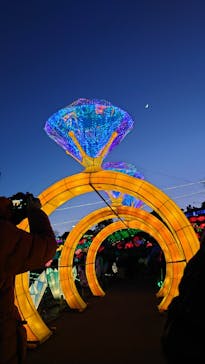 伊豆ぐらんぱる公園に投稿された画像（2022/12/27）