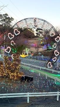 伊豆ぐらんぱる公園に投稿された画像（2022/12/27）