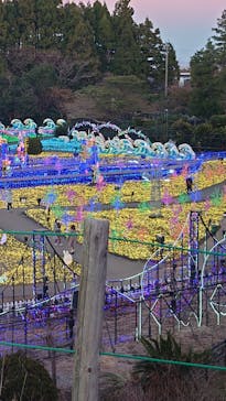 伊豆ぐらんぱる公園に投稿された画像（2022/12/27）