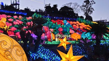 伊豆ぐらんぱる公園に投稿された画像（2022/12/27）