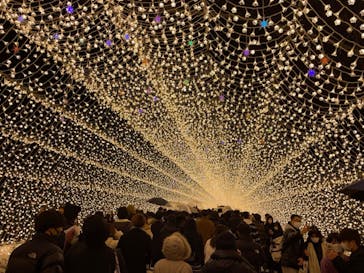 なばなの里に投稿された画像（2022/12/27）