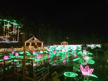 美らヤシパークオキナワ・東南植物楽園に投稿された画像（2022/12/27）