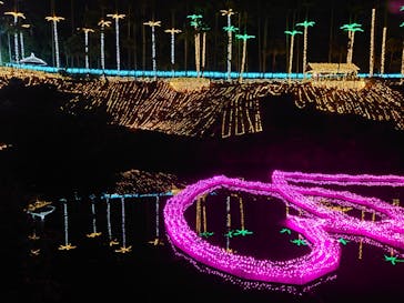 美らヤシパークオキナワ・東南植物楽園に投稿された画像（2022/12/27）