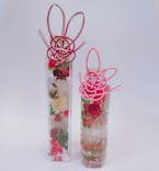 ずこうしつ〜sugamo〜に投稿された画像（2022/12/27）