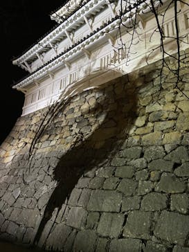 福山城400年博-FUKUYAMA CASTLE EXPO 2022- RCC開局70年 「チームラボ 福山城 光の祭」に投稿された画像（2022/12/27）