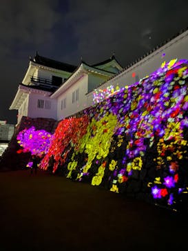 福山城400年博-FUKUYAMA CASTLE EXPO 2022- RCC開局70年 「チームラボ 福山城 光の祭」に投稿された画像（2022/12/27）