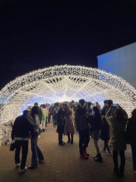 東京メガイルミに投稿された画像（2022/12/27）