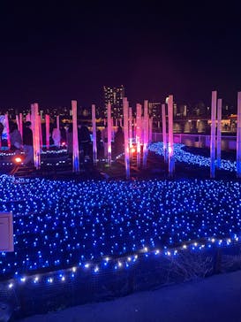 東京メガイルミに投稿された画像（2022/12/27）