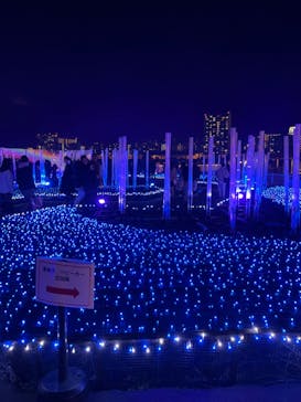 東京メガイルミに投稿された画像（2022/12/27）