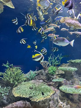 マリンワールド海の中道に投稿された画像（2022/12/27）