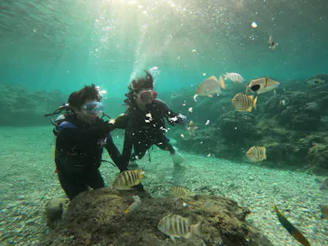 武藤潜水に投稿された画像（2022/12/28）