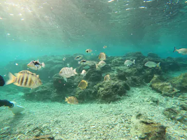 武藤潜水に投稿された画像（2022/12/28）