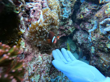 武藤潜水に投稿された画像（2022/12/28）