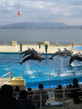 マリンワールド海の中道に投稿された画像（2022/12/20）