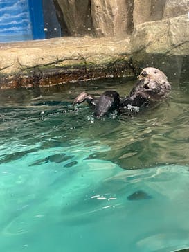 マリンワールド海の中道に投稿された画像（2022/12/20）