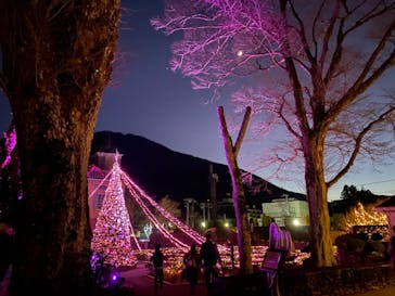 星の王子さまミュージアム 箱根サン=テグジュペリに投稿された画像（2022/12/28）