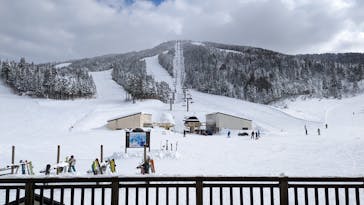 スキージャム勝山に投稿された画像（2022/12/28）