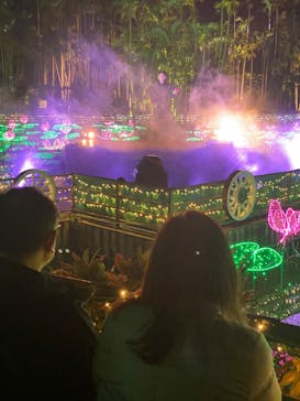 美らヤシパークオキナワ・東南植物楽園に投稿された画像（2022/12/28）