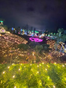 美らヤシパークオキナワ・東南植物楽園に投稿された画像（2022/12/28）