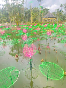 美らヤシパークオキナワ・東南植物楽園に投稿された画像（2022/12/28）