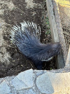 伊豆シャボテン動物公園に投稿された画像（2022/12/28）