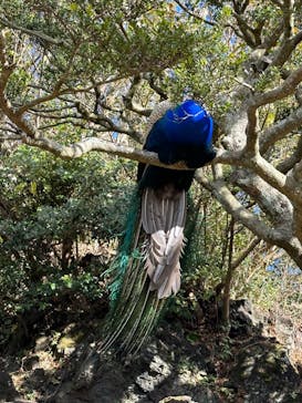 伊豆シャボテン動物公園に投稿された画像（2022/12/28）