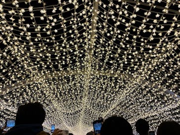 東京メガイルミに投稿された画像（2022/12/28）