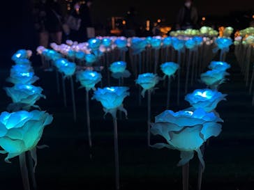 東京メガイルミに投稿された画像（2022/12/28）