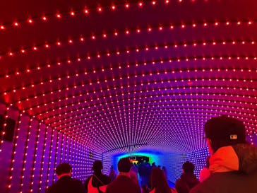 東京メガイルミに投稿された画像（2022/12/28）