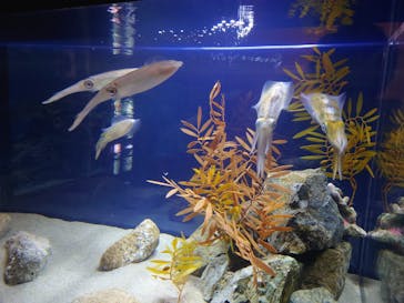 大分マリーンパレス水族館 「うみたまご」に投稿された画像（2022/12/28）