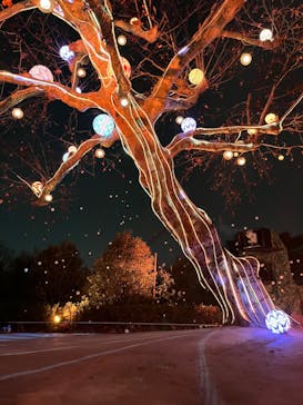 西武園ゆうえんちに投稿された画像（2022/12/28）