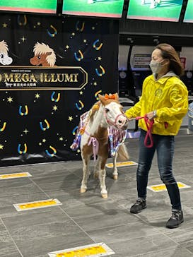 東京メガイルミに投稿された画像（2021/10/30）