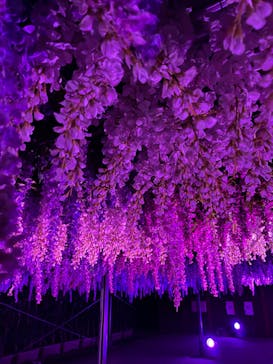 東京メガイルミに投稿された画像（2021/10/30）