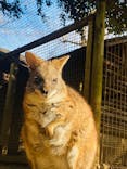 伊豆シャボテン動物公園に投稿された画像（2022/12/28）