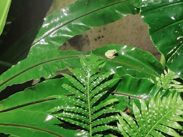 体感型カエル館KawaZooに投稿された画像（2022/12/28）