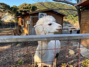 伊豆アニマルキングダムに投稿された画像（2022/12/28）