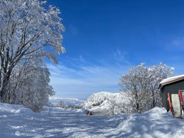 黒伏高原スノーパーク ジャングル・ジャングルに投稿された画像（2022/12/28）