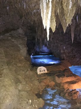 おきなわワールドに投稿された画像（2022/12/28）