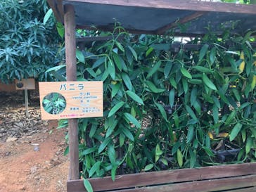 おきなわワールドに投稿された画像（2022/12/28）